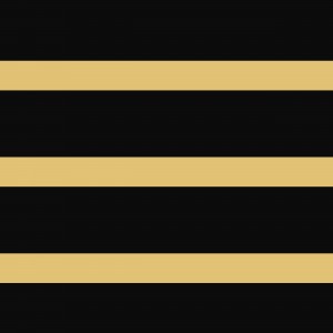 olive yellow STRIPE